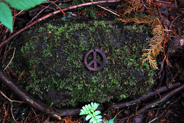 Aokigahara, peace sign Aokigahara, peace sign