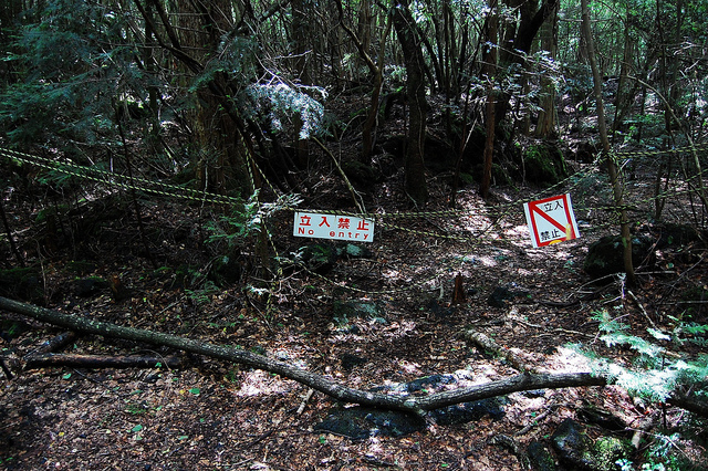 Aokigahara- warning signs everywere Aokigahara- warning signs everywere