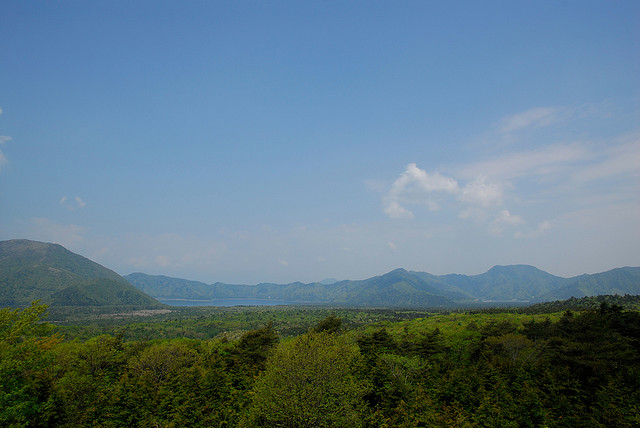 Aokigahara woodlands Aokigahara woodlands
